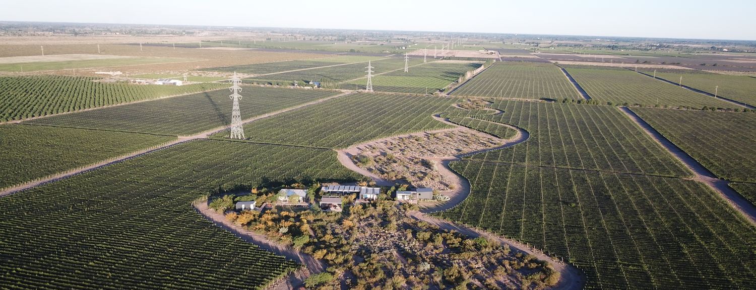 Finca Bautem desde el aire, con el camino curvo y las parcelas de vid y almendros