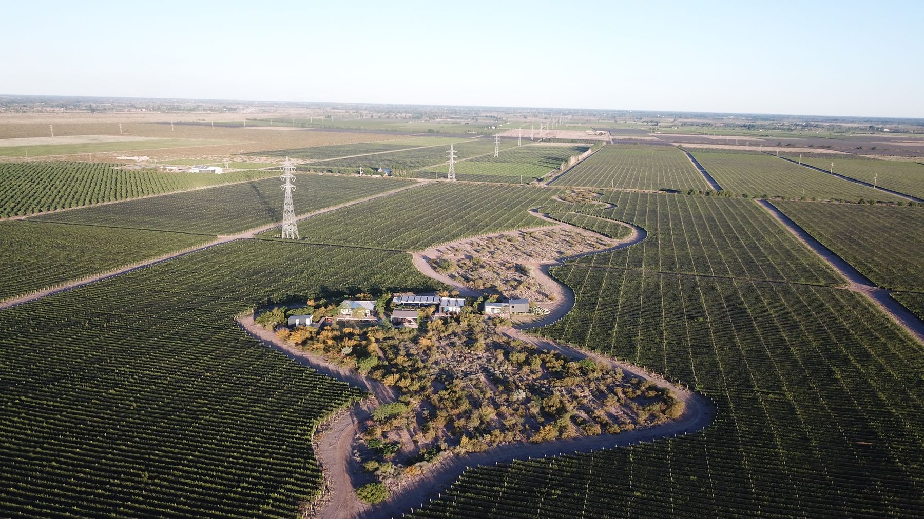 Vista aérea de Finca Bautem: 200 hectáreas en Barrancas, Maipú, Mendoza, con 131 implantadas de vid y almendros