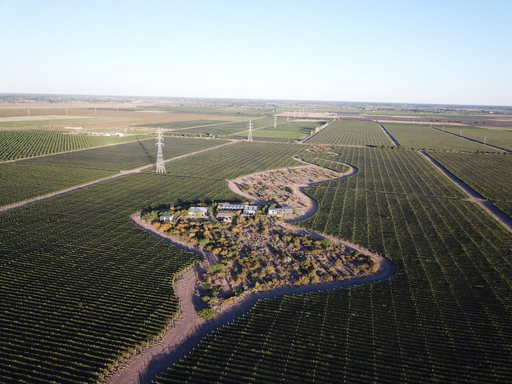 Vista aérea de Finca Bautem: el camino curvo que rodea el casco, trazado según el Modulor de Le Corbusier